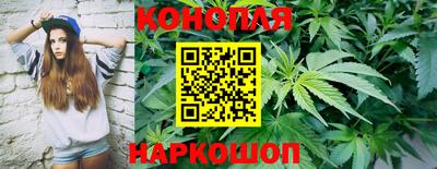 винт Ачхой-Мартан