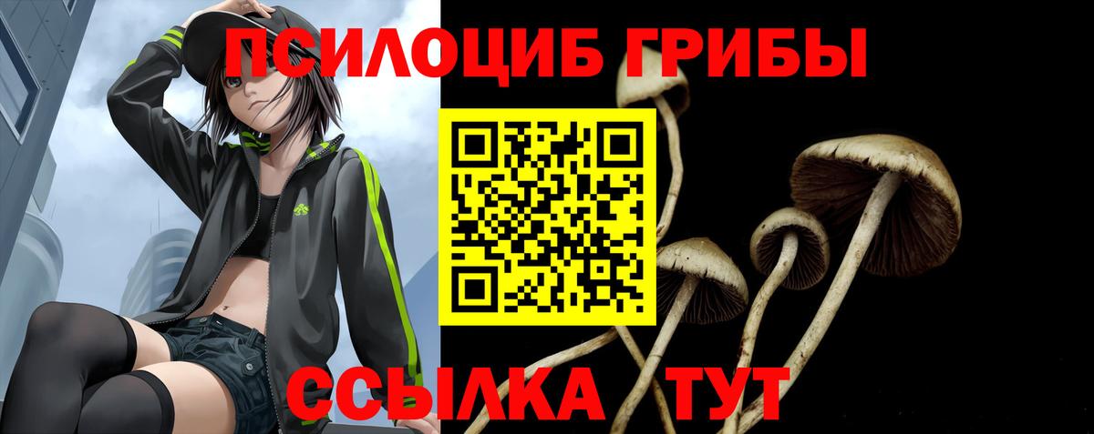 Верхняя Пышма  Галлюциногенные грибы GOLDEN TEACHER  купить  цена  Вход с VPN 